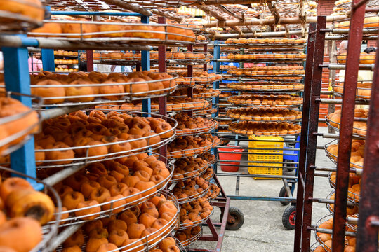 Persimmons ripe in the autumn season and production process