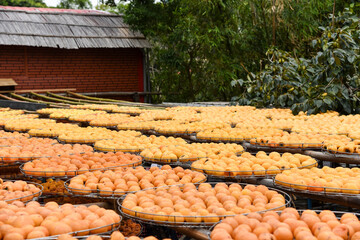 Persimmons ripe in the autumn season and production process