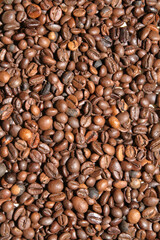 chicchi di caffè, coffee beans 