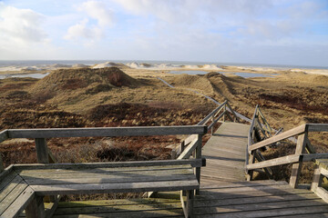 Fototapeta na wymiar wooden lookout point with stairs in the heath of Amrum, Germany