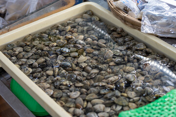 Clams in a basket, Seafood market - Japan © ACOBA
