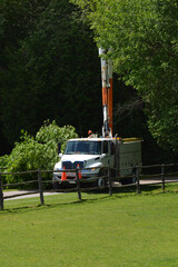 Service truck with lift boom up repairs fallen tree on hydro electricity wires