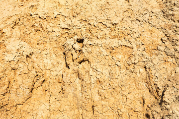 Seamless texture - clay soil for your design
