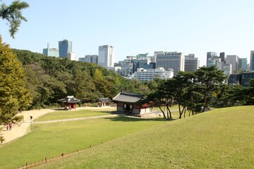 Fototapeta na wymiar View of buildings with a park in Korea under the blue sky