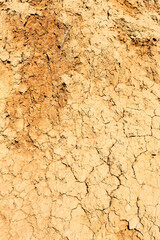 Seamless texture - clay soil for your design