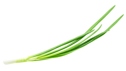 Obraz na płótnie Canvas Green onion isolated on the white background, clipping path, full depth of field