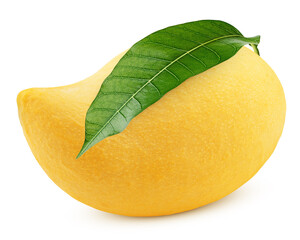 yellow mango isolated on white background, clipping path, full depth of field