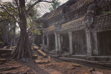 Plakat Angkor Thom and tree