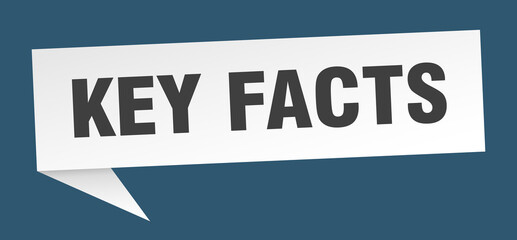 key facts banner. key facts speech bubble. key facts sign