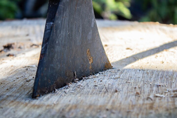 Close up of old ax blade stuck out in a stump