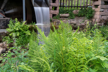 Oberharmersbach im Schwarzwald 