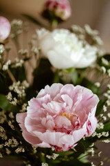 Peonies