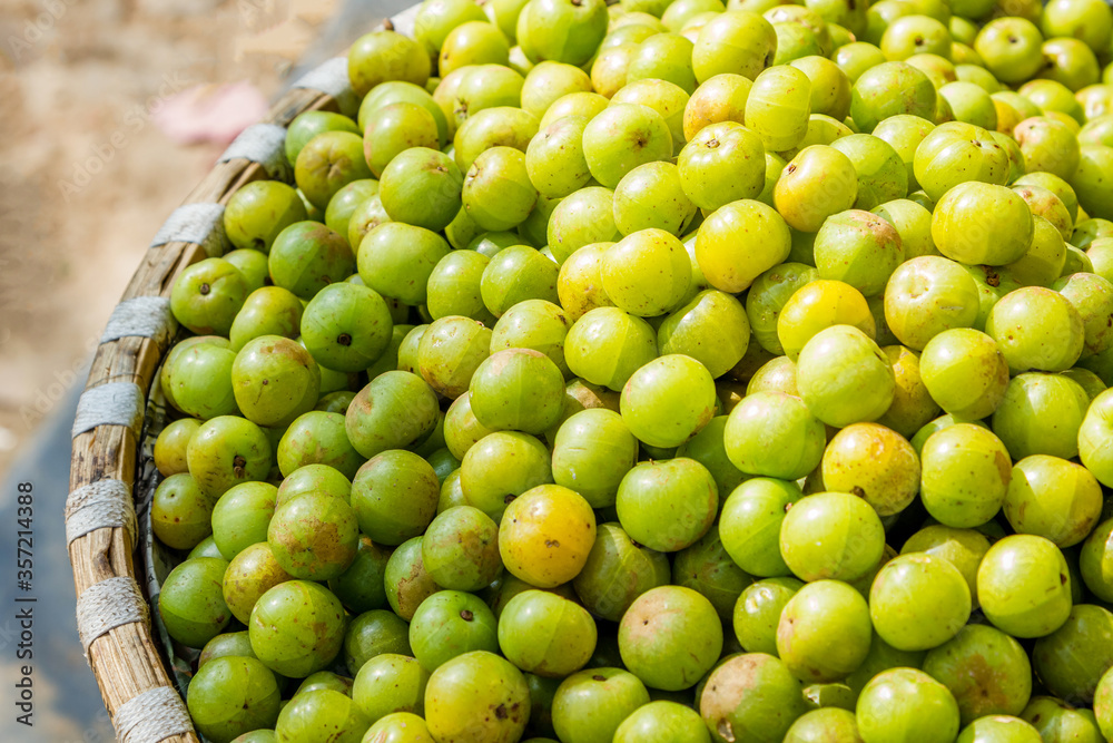 Wall mural fresh gooseberry or amala