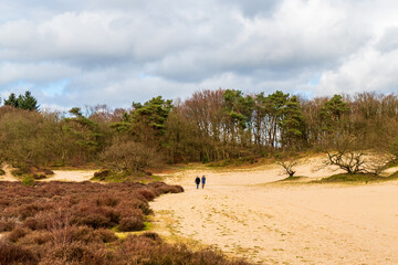 Landscape at Soesterduinen near Amersfoort, Netherlands
