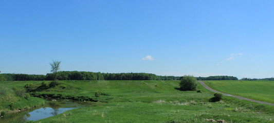 Fototapeta na wymiar Meadow in Summer in Southern Quebec