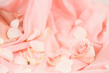 pink rose flowers on soft silk - wedding, holiday and floral background styled concept, elegant...