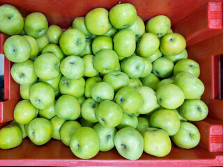 Green apples in a pallet on a counter in a self-service store. A fruit is a source of useful elements and vitamins. A healthy product in the daily diet of vegetarians and people.
