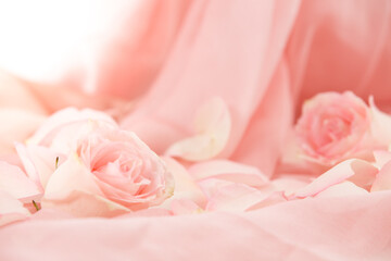 pink rose flowers on soft silk - wedding, holiday and floral background styled concept, elegant visuals