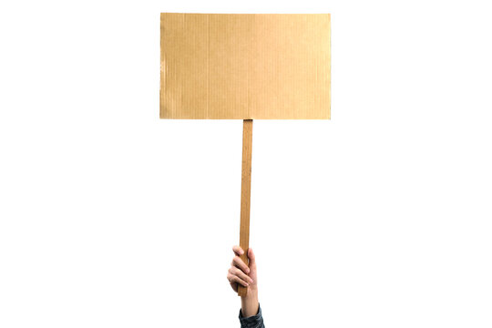 Woman holding a blank placard mock up on wood stick to put the text at protesting, isolated on white background.