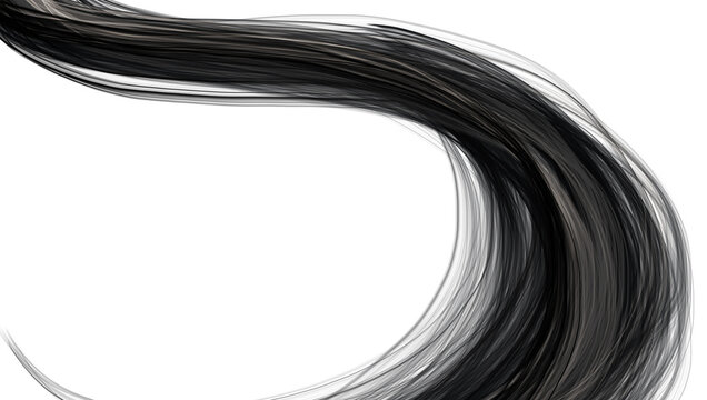Single shiny black hairstrain illustration exempted on white background with copy-space. 