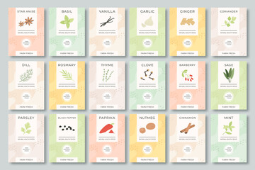 Spices labels. Different aromatic herbs and spices color packaging for culinary, food preparing. Garlic, pepper and basil, spinach and mint organic product for selling vector set. Bags with herbs.