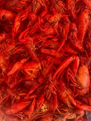 Louisiana Crawfish Boil close up