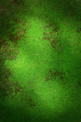 green moss on the floor wallpaper background.