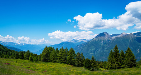 Panorama of beautiful countryside of Swiss Alps. Sunny afternoon. Wonderful springtime landscape in mountains. Grassy field and spring flowers. Rural scenery.