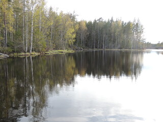 Nature