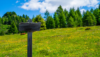 Blank outside sign against blue sky and green meadow of mountains. Antique, grungy, old, wooden vintage sign board pointing directions with a blank signpost for your text.