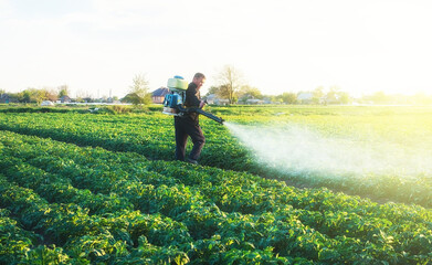Fototapeta na wymiar Farmer spraying a chemical copper sulfate on a potato plantation to protect against fungal infections. Agribusiness, agricultural industry. Crop protection. Modern technologies in agriculture