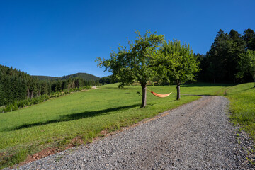 Fototapeta na wymiar Schwarzwald bei Oberharmersbach
