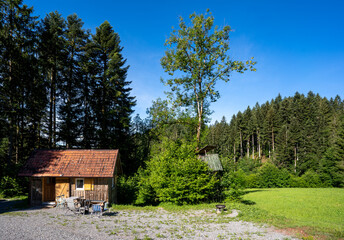 Schwarzwald bei Oberharmersbach