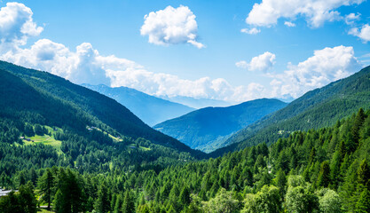 Fototapeta na wymiar Beautiful nature background. Wonderful springtime landscape in mountains. Forested mountain slopes in low lying cloud with the evergreen conifers in a scenic landscape view.