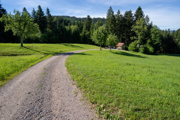 Schwarzwald bei Oberharmersbach
