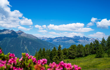 Fototapeta na wymiar Panorama of beautiful countryside of Swiss Alps. Sunny afternoon. Wonderful springtime landscape in mountains. Grassy field and spring flowers. Rural scenery.