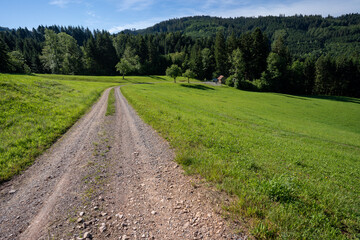 Fototapeta na wymiar Schwarzwald bei Oberharmersbach
