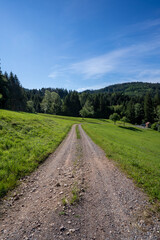 Schwarzwald bei Oberharmersbach