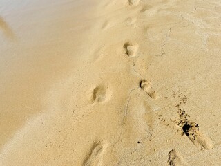 Fototapeta na wymiar footprint in the sand
