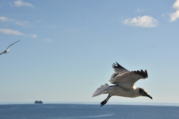 FLYING