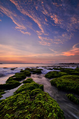 Beautiful sunrise in rocky beach covered by green moss with colorful cloud on sky in Sawarna, Banten, Indonesia