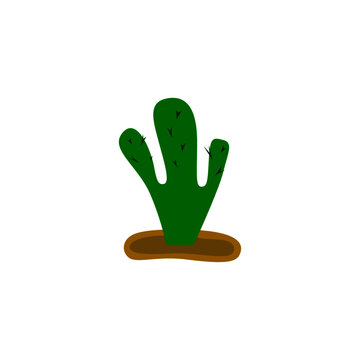 Green cacktus plant, on white