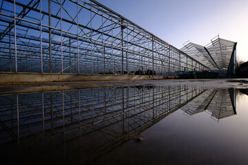 Structural steel structure of a greenhouse with reflection against a clear blue sky in the background