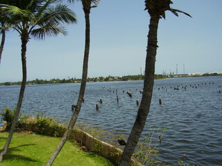 Obraz premium OLYMPUS DIGITAL CAMERA