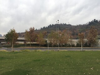 Campo de Otoño en la ciudad