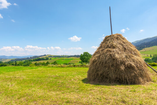 weathered hay stack on the field. idyllic coutryside scenery on a sunny day. wonderful  rural landscape of carpathian mountains