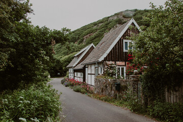 Fototapeta na wymiar TRADITIONAL HOUSE IN SWEDEN