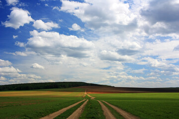 Clouds over a country road in a field