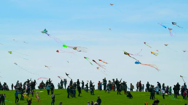 Kite Flyers