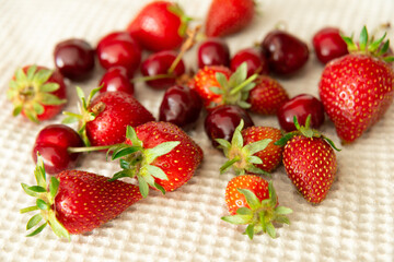 Fraises et cerises fraîchement cueillies et lavées séchant sur un torchon